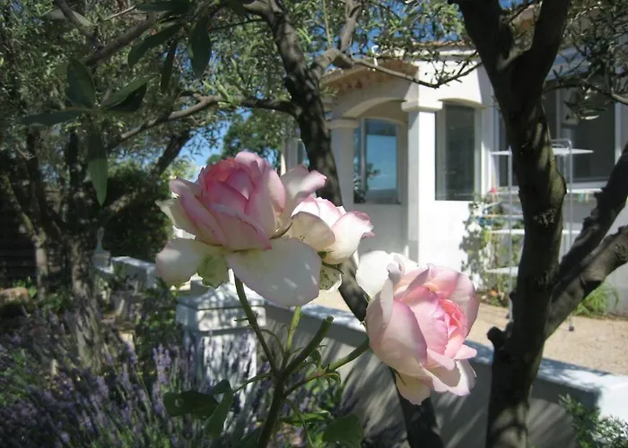 וילה Agence Jf Immo - Villa Climatisee Avec Piscine Privee Proche Des Plages Menage Inclus Wifi V0840 Bessan